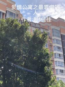 Love Apartment: The Most Reliable Person